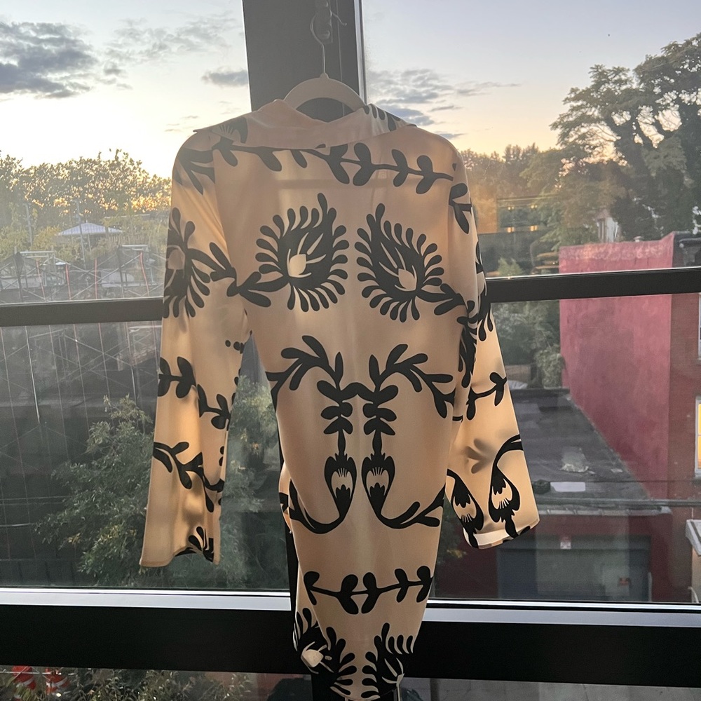 Really cute and expensive looking mini long sleeve Zara dress. Size M.